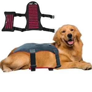 Pets Red Light Therapy Belt